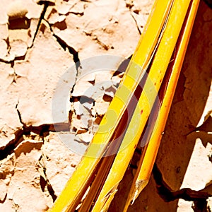 cracked sand in morocco africa desert abstract macro bark