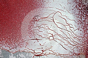 Cracked and scratched red and white paint on grunge metal