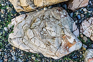 Cracked Shoreline Rocks 5