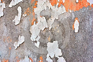 Cracked soft coral red and white paint, plaster surface on gray cement wall, grunge horizontal shabby background detail