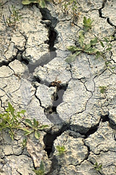 Cracked soil