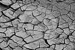 Cracked soil