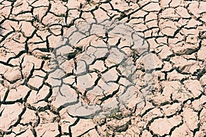 Cracked soil arid land with dry and cracked ground desert texture background, Global warming