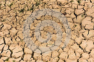 Cracked soil arid land with dry and cracked ground desert texture background, Global warming