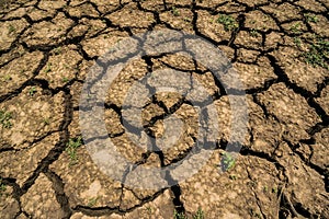 Cracked soil background in the countryside.