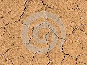 Cracked soil background. Dry mud cracks texture