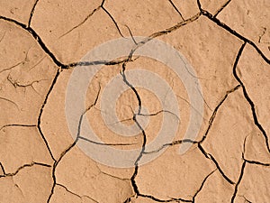 Cracked soil background. Dry mud cracks texture