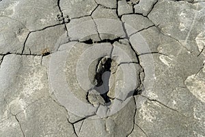 Cracked soil in Berca Muddy Volcanoes area in Buzau, Romania; active muddy volcanoes