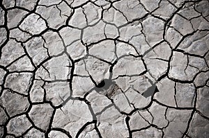 Cracked soil of desert