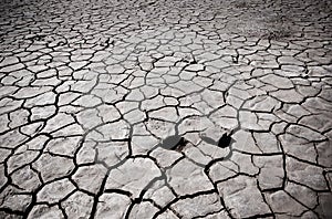Cracked soil of desert
