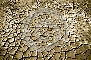 Cracked soil of desert