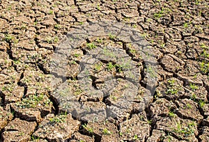 Cracked soil during drought.