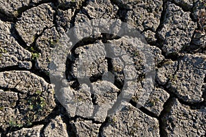 Cracked soil from drought, sun and wind with vegetation clinging to life Close-up