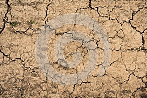 Cracked soil dry earth texture