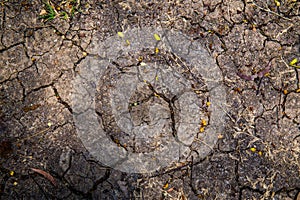 Cracked soil dry earth texture