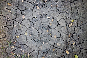 Cracked soil with dry yellow leaf. Grungy arid land texture. Drought land top view photo. Grey cracked floor surface