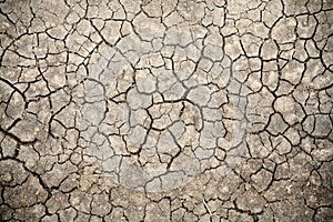 Cracked Soil (Kenya)