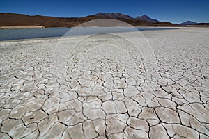 Cracked soil. Laguna Honda. PotosÃ­ department. Bolivia