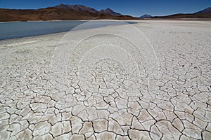 Cracked soil. Laguna Honda. PotosÃ­ department. Bolivia