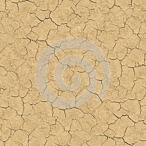 Cracked Soil. Seamless Texture.