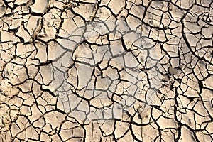 Cracked soil texture