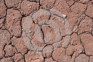 Cracked Soil Texture