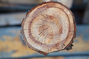 Cracked split of tree