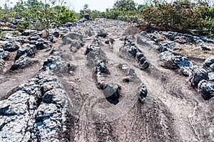 Cracked stone field from the erosion of the weather