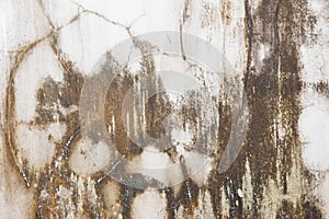 Cracked stone wall background, Old wall texture.