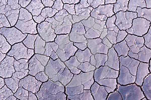 Cracked surface of dried clay