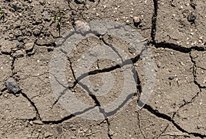 Cracked surface of grey soil texture background, dried and chopped gray earth, old fissure dark ground, close-up, erosion