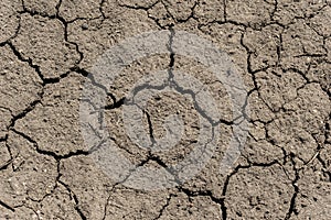 Cracked surface of grey soil texture background, dried and chopped gray earth, old fissure dark ground, close-up, erosion