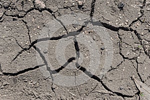 Cracked surface of grey soil texture background, dried and chopped gray earth, old fissure dark ground, close-up, erosion