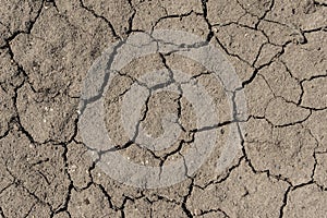 Cracked surface of grey soil texture background, dried and chopped gray earth, old fissure dark ground, close-up, erosion