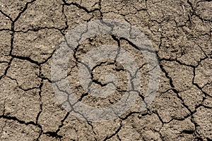 Cracked surface of grey soil texture background, dried and chopped gray earth, old fissure dark ground, close-up, erosion