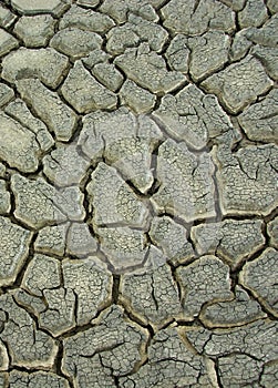 Cracked Texture
