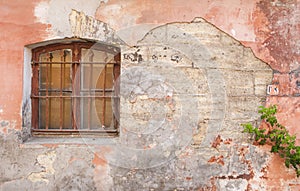 Cracked vintage wall with window and a plant branch.