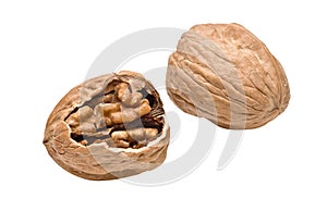Cracked walnut