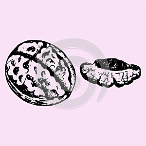 Cracked walnut, half walnut