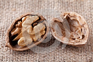 Cracked walnut, kernel inside