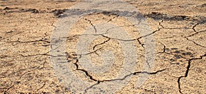 Cracked waterless ground. Natural disasters