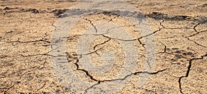 Cracked waterless ground. Natural disasters photo