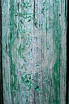 Cracked weathered emerald green shabby chic painted wooden board texture