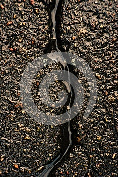 Cracked wet gray asphalt close up. Natural lighting, symbolic concept of a breakdown, a quarrel, a parting