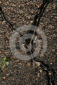 Cracked wet gray asphalt close up. Natural lighting, symbolic concept of a breakdown, a quarrel, a parting