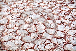 Cracked white dry clay surface on orange sand background in Etosha salt pan Namib desert top view closeup