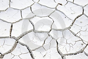 Cracked White Soil Texture Background. Generative AI