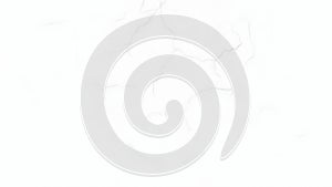 Cracked White Surface Texture Background for Presentations and Designs