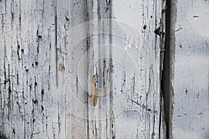 Cracked white wood door photo