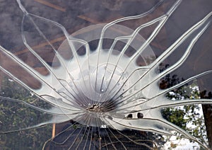 Cracked windshield